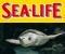 Sea Life